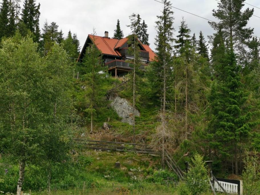 Casa San Gottardo - The Forest House, Etnedal Экстерьер фото
